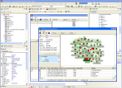 VCL GIS Component, .NET GIS Component, ActiveX GIS Component